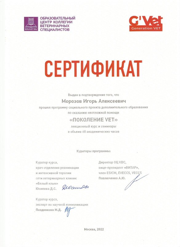 Документ или сертификат