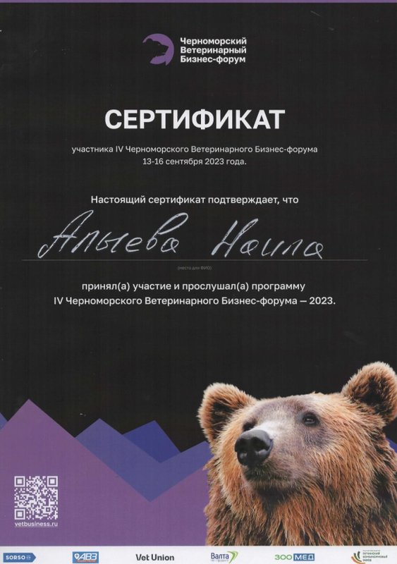 Документ или сертификат