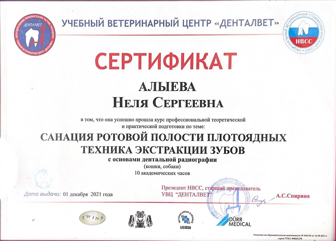 Документ или сертификат