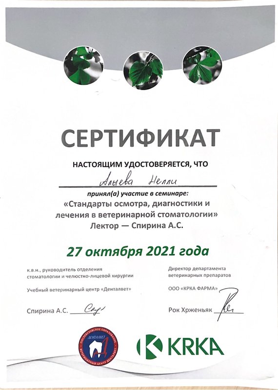 Документ или сертификат