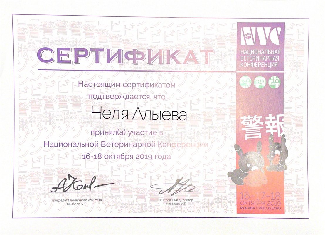 Документ или сертификат