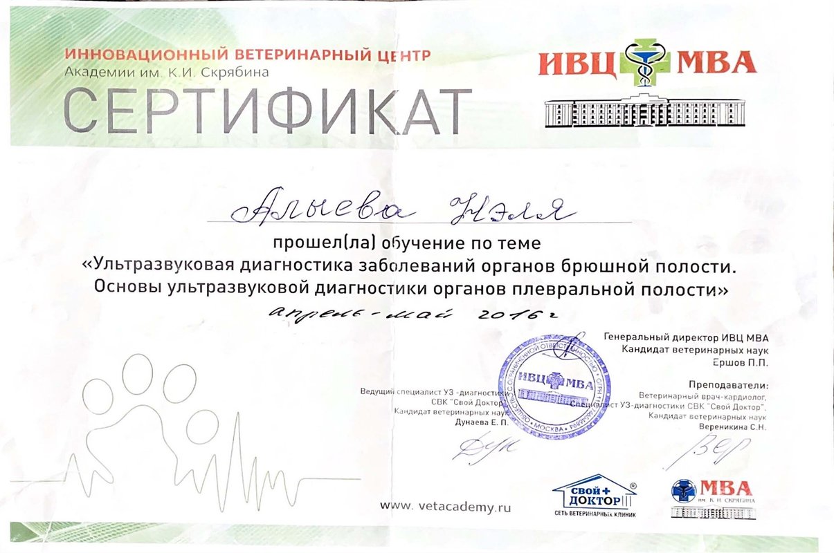 Документ или сертификат