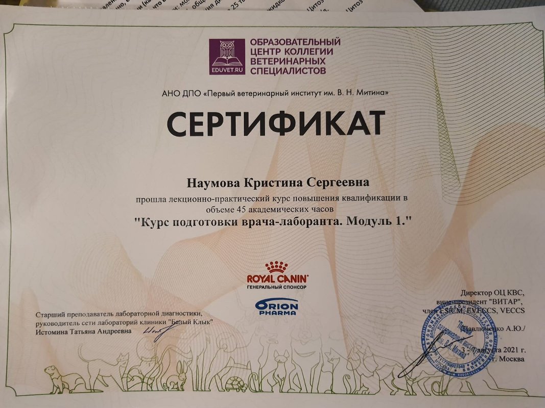 Документ или сертификат