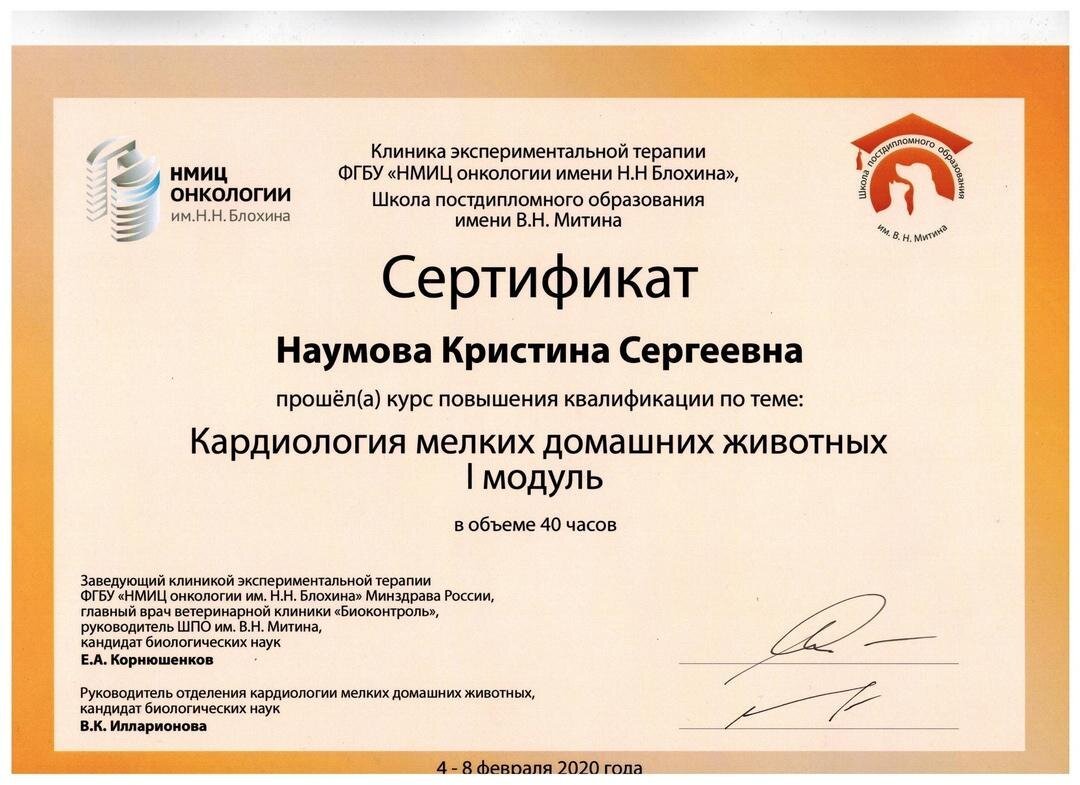 Документ или сертификат