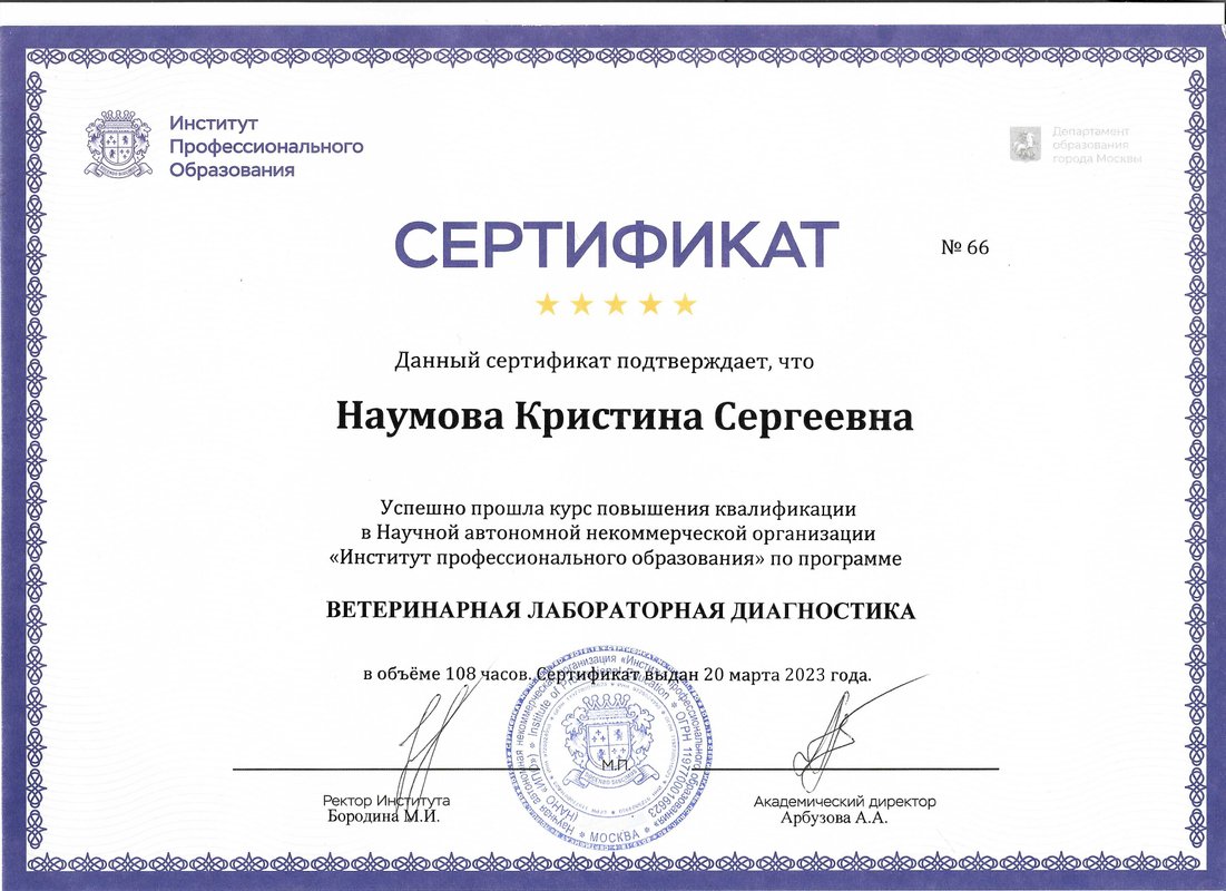 Документ или сертификат