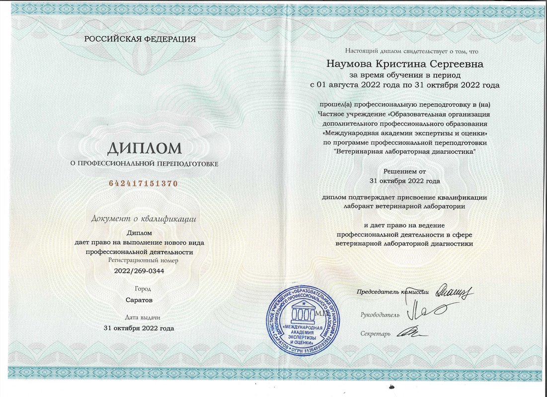 Документ или сертификат