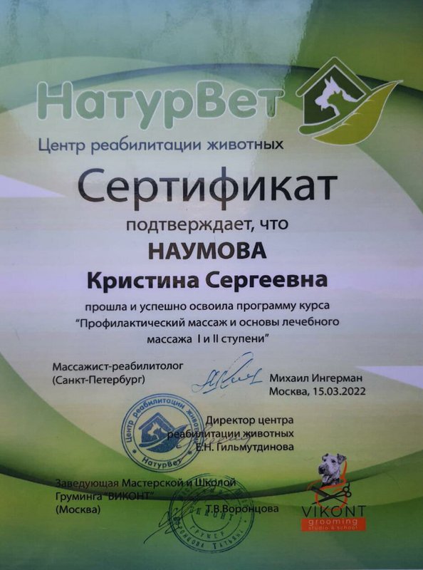 Документ или сертификат