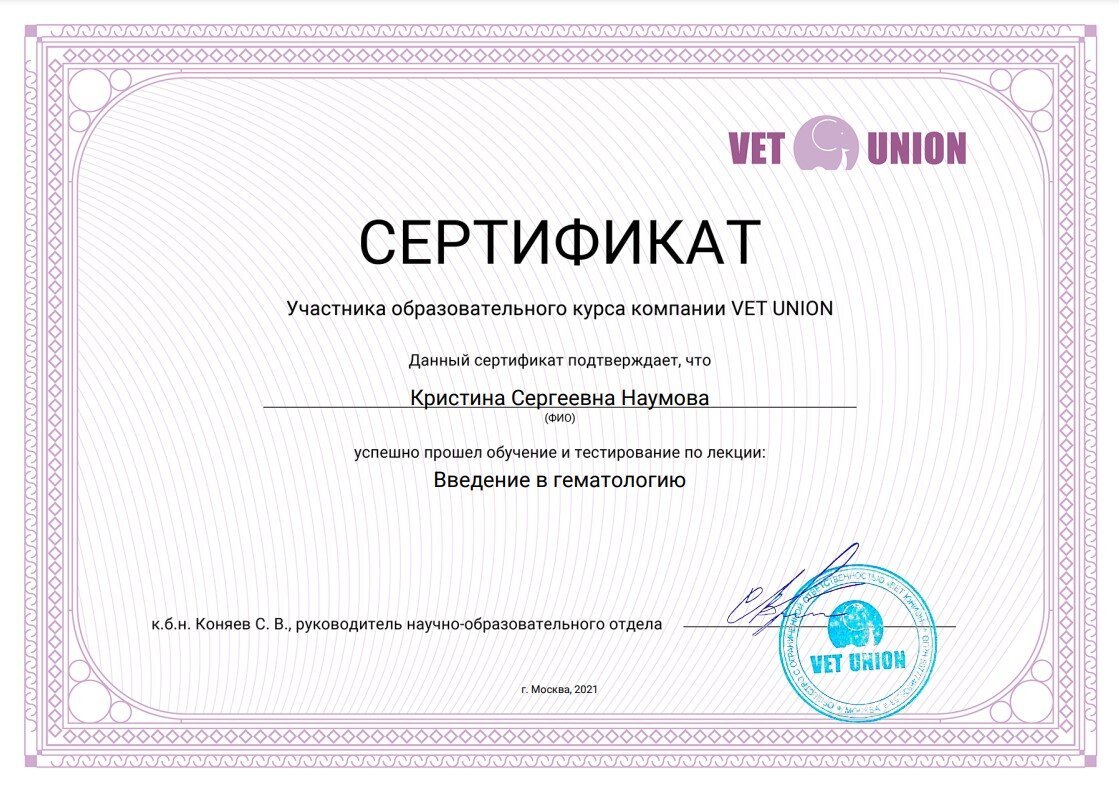 Документ или сертификат