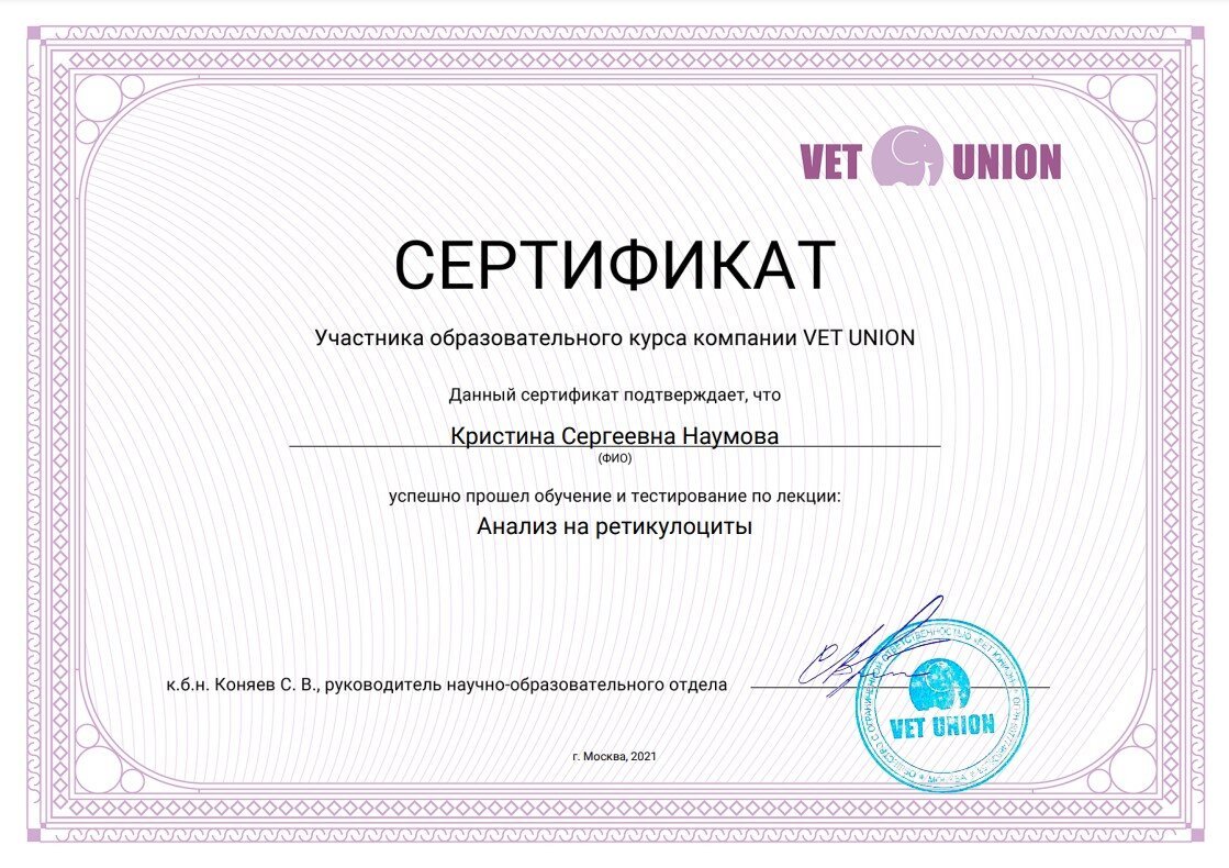 Документ или сертификат