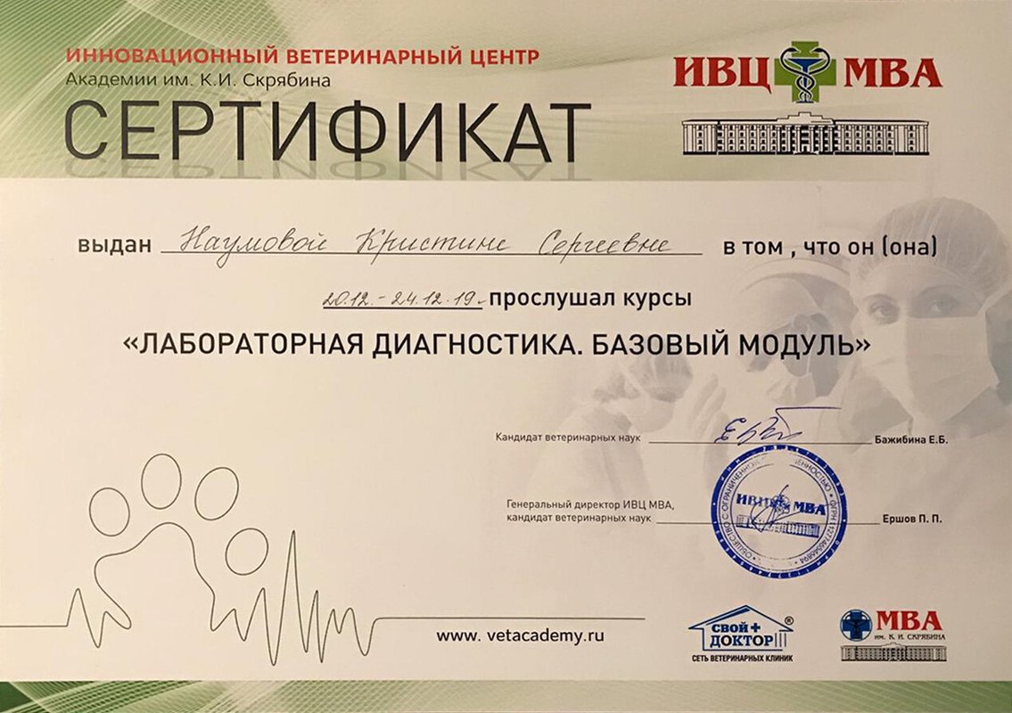 Документ или сертификат
