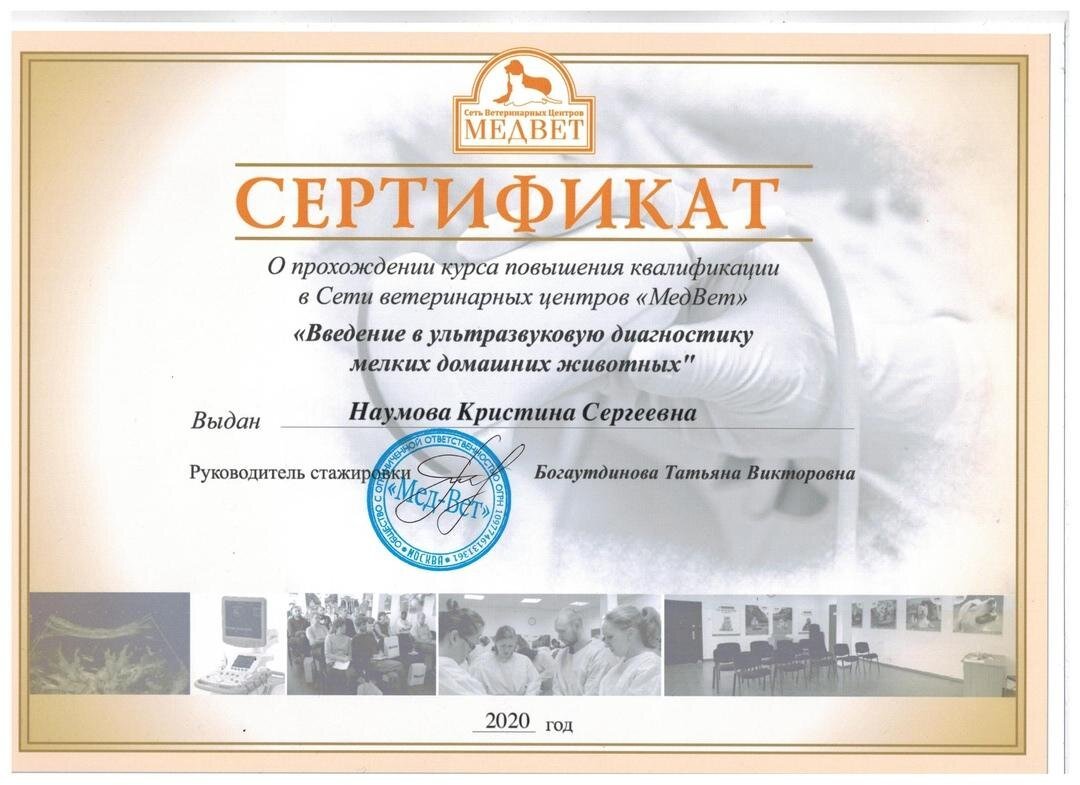 Документ или сертификат