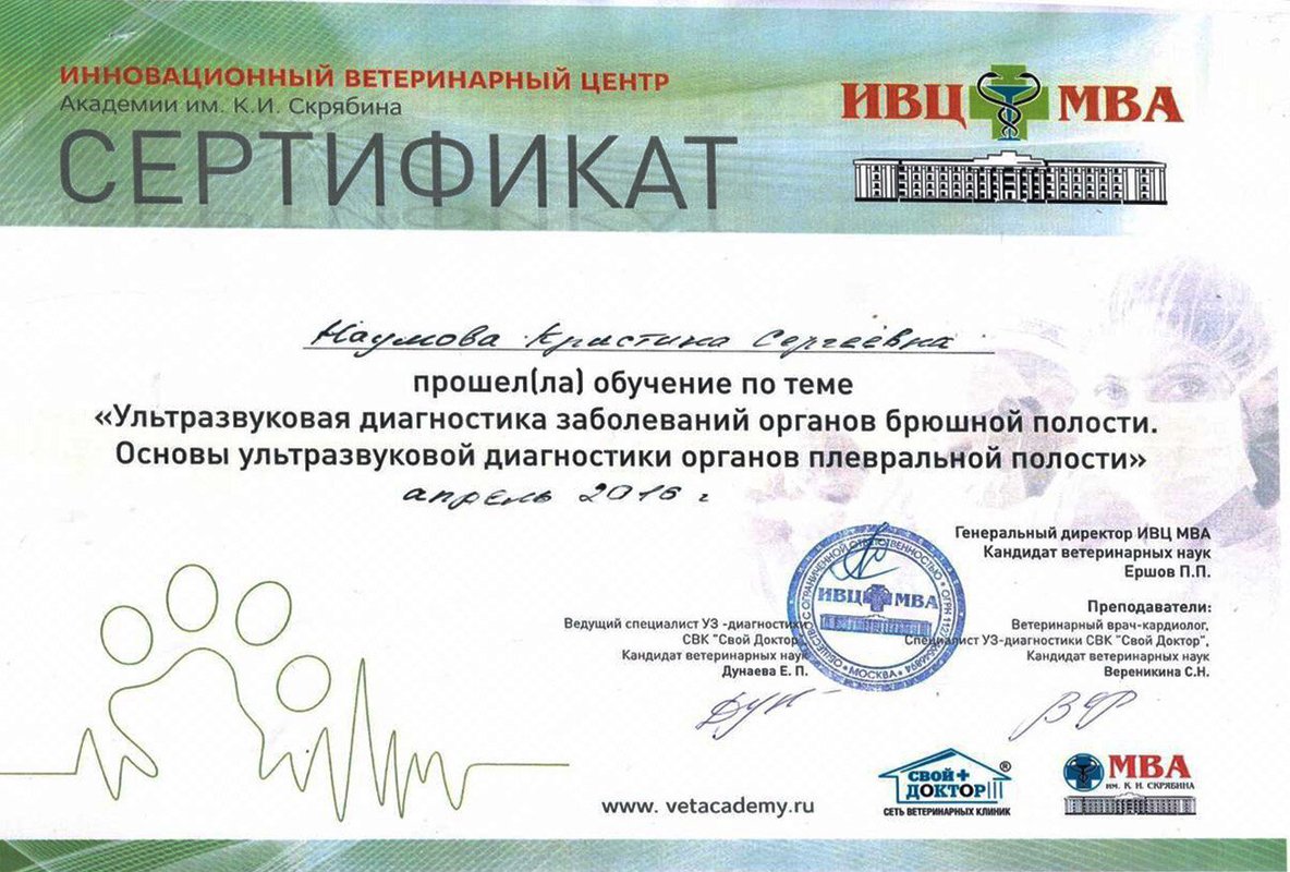 Документ или сертификат