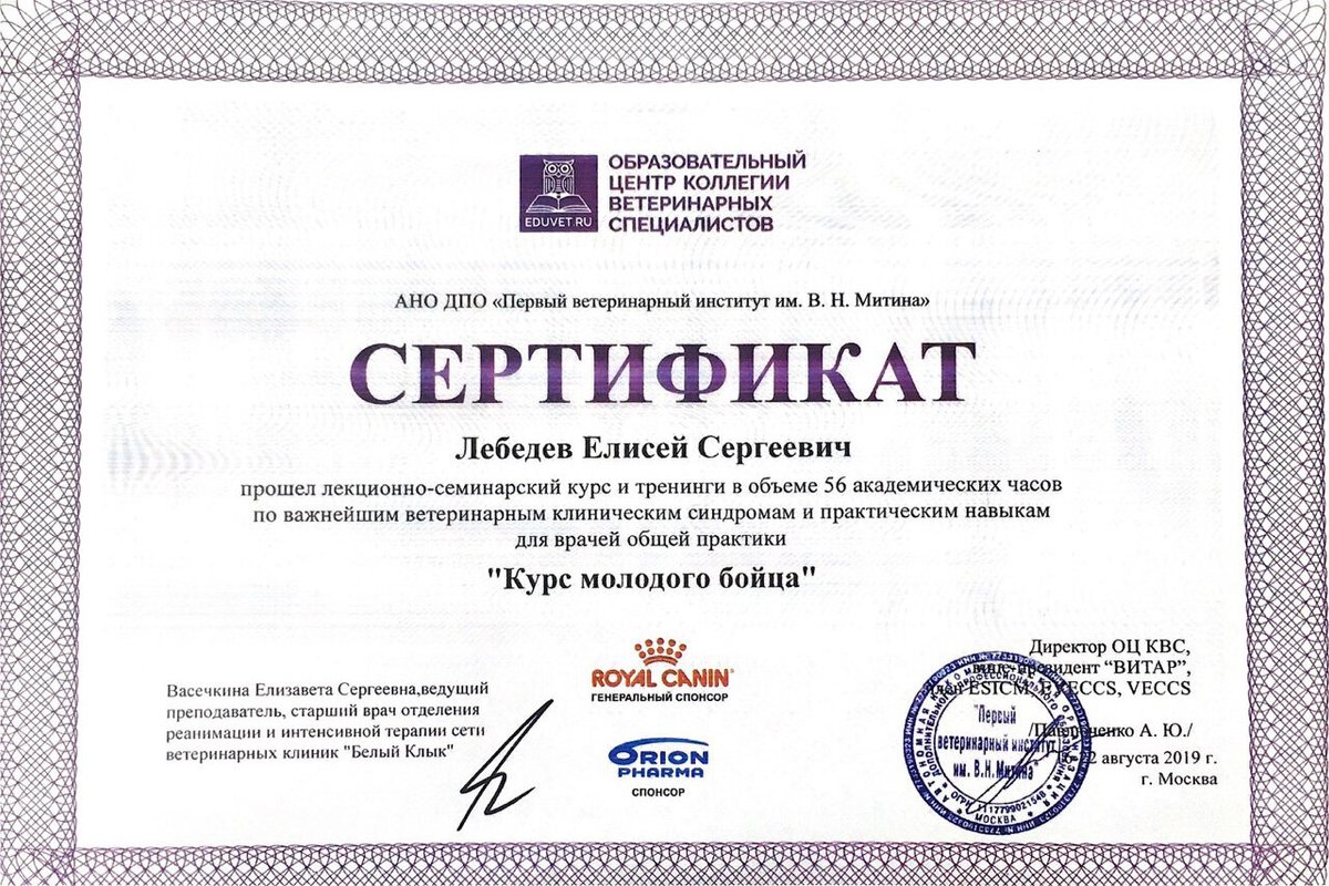 Документ или сертификат