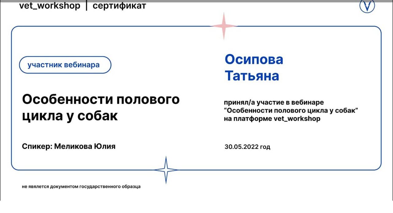 Документ или сертификат