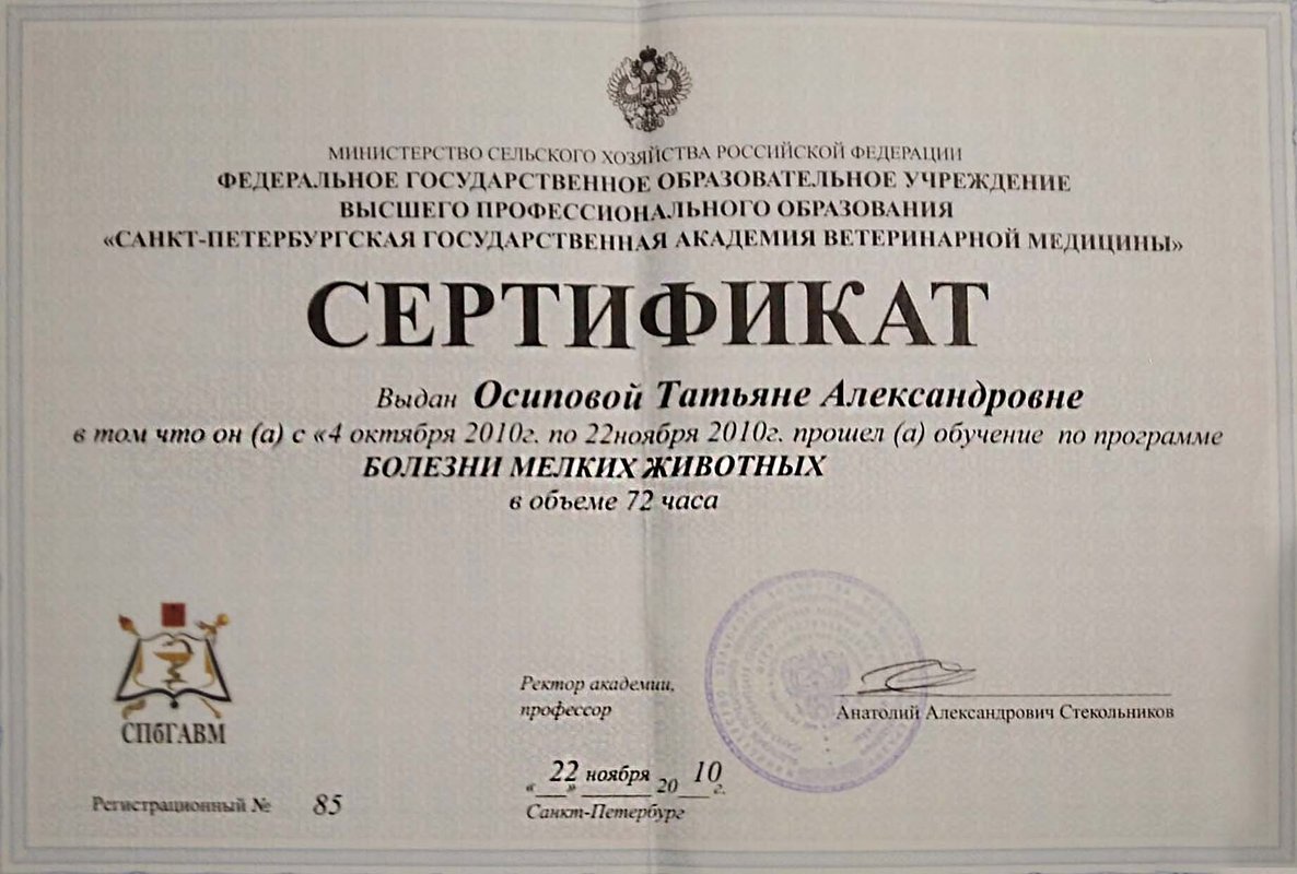 Документ или сертификат