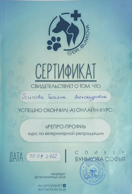Документ или сертификат