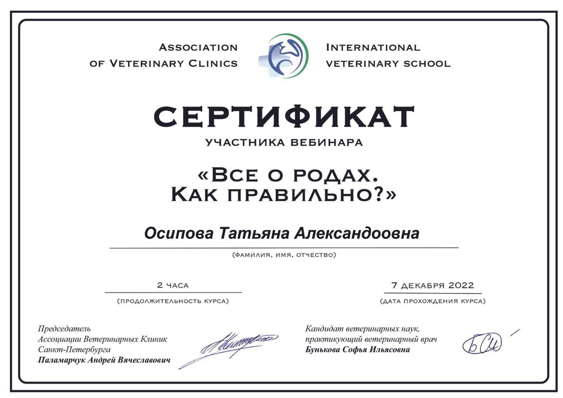Документ или сертификат