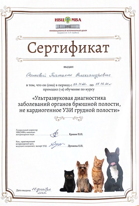 Документ или сертификат
