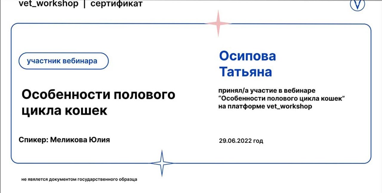 Документ или сертификат