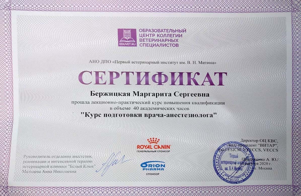 Документ или сертификат