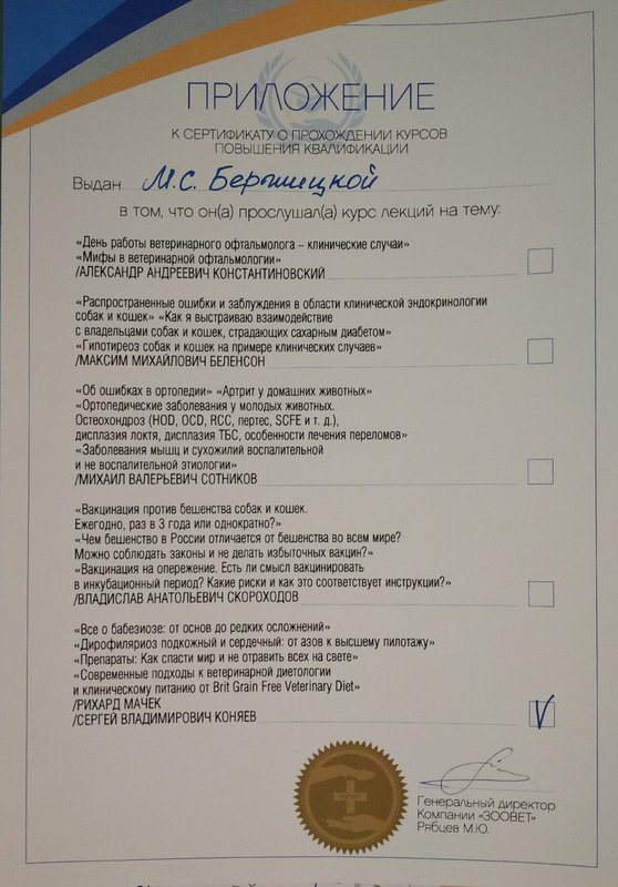 Документ или сертификат