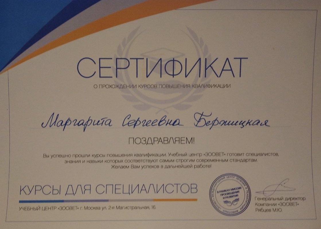 Документ или сертификат