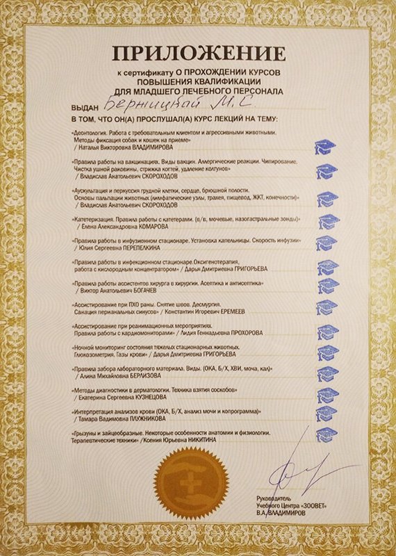Документ или сертификат