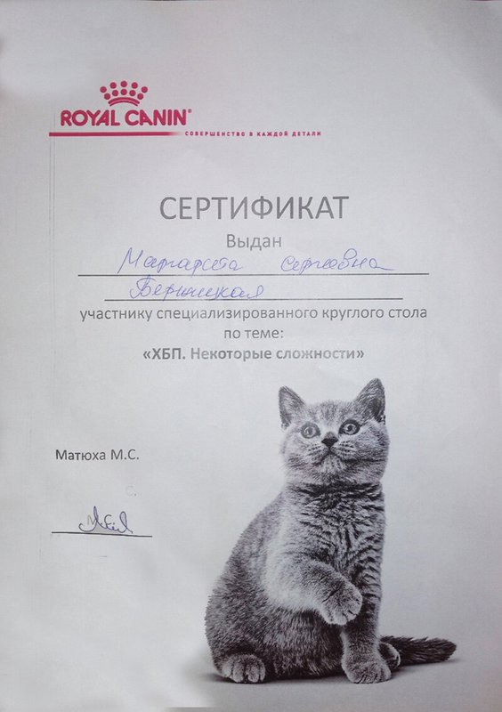 Документ или сертификат
