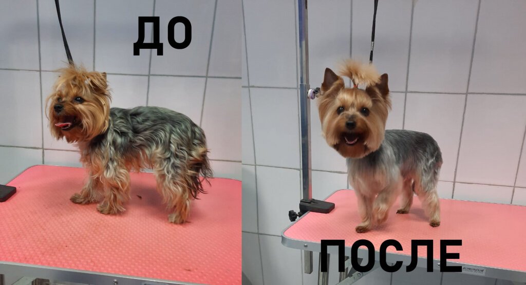 Фото врача