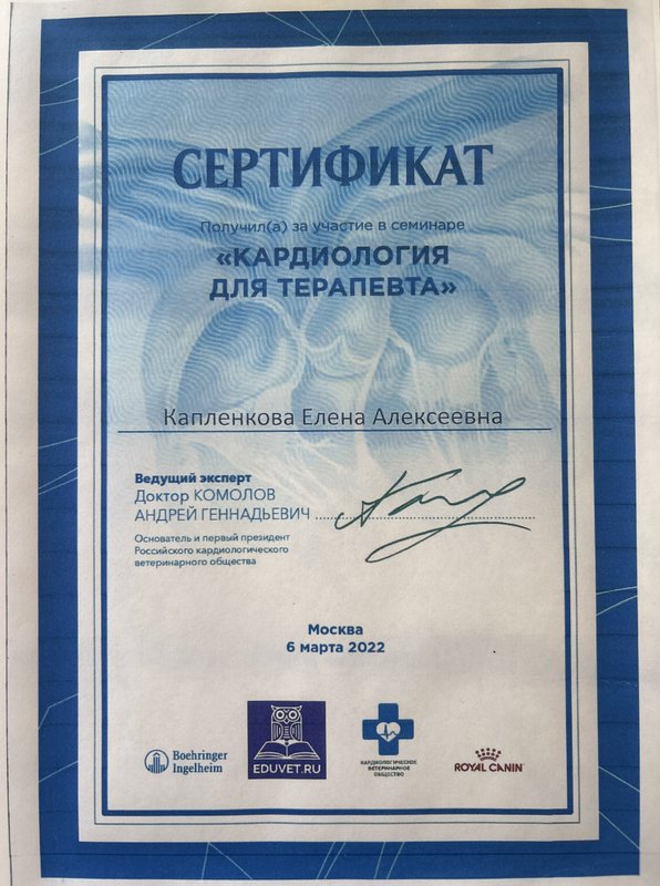 Документ или сертификат