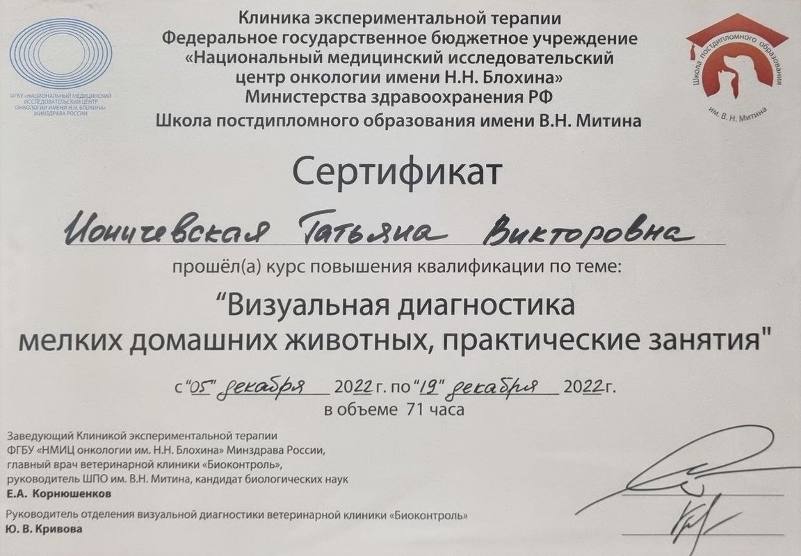Документ или сертификат