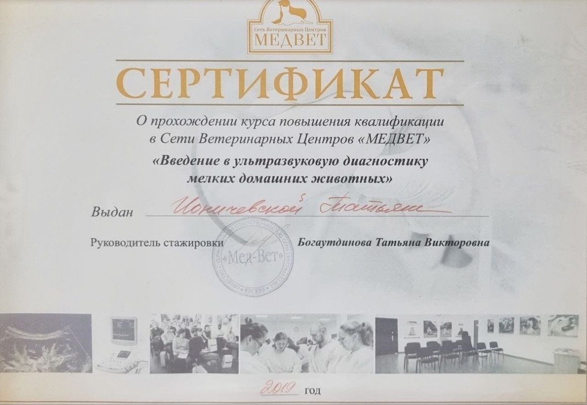 Документ или сертификат
