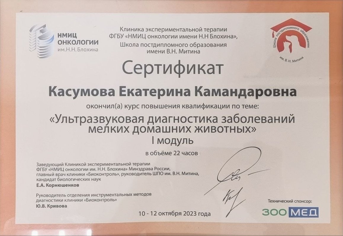 Документ или сертификат