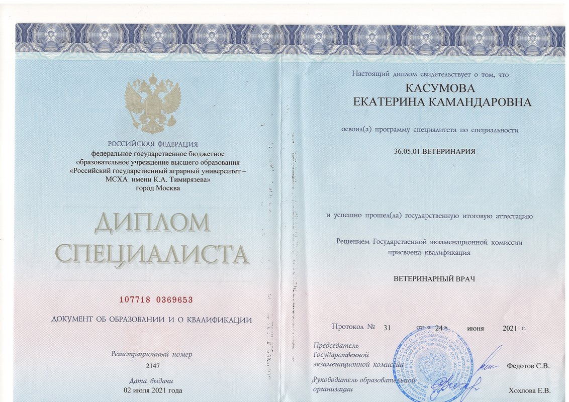 Документ или сертификат