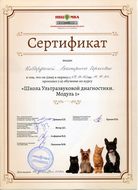 Документ или сертификат