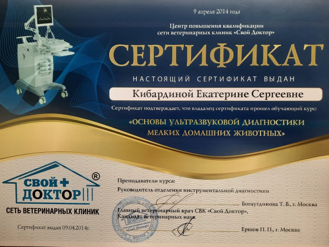 Документ или сертификат