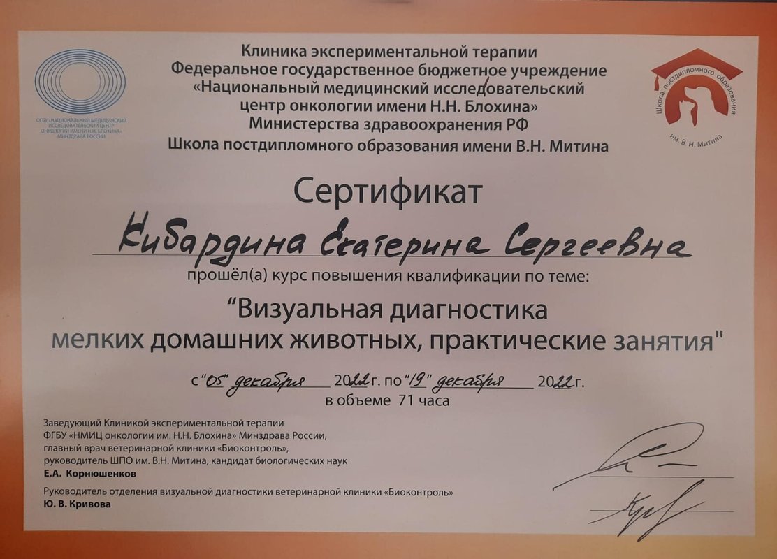 Документ или сертификат