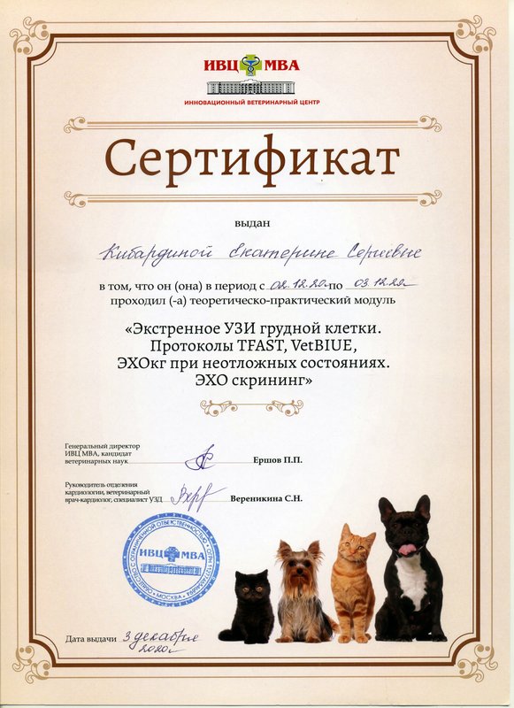 Документ или сертификат