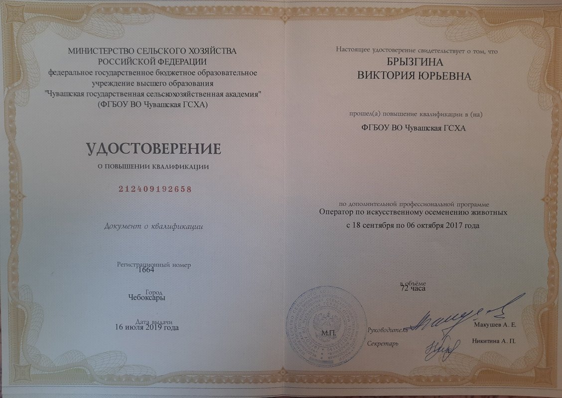 Документ или сертификат