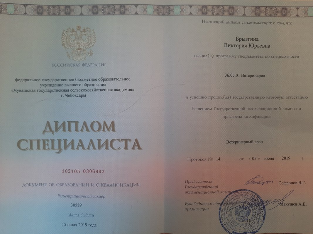Документ или сертификат