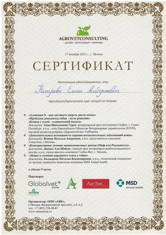 Документ или сертификат