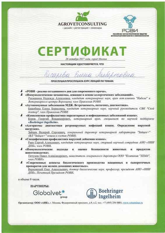 Документ или сертификат