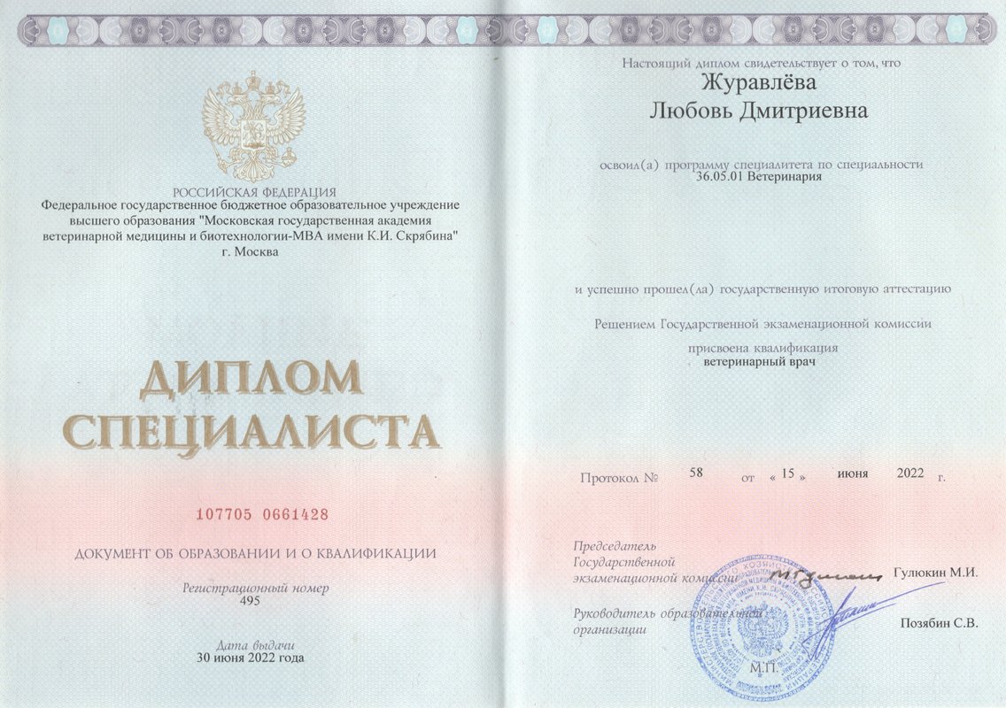 Документ или сертификат