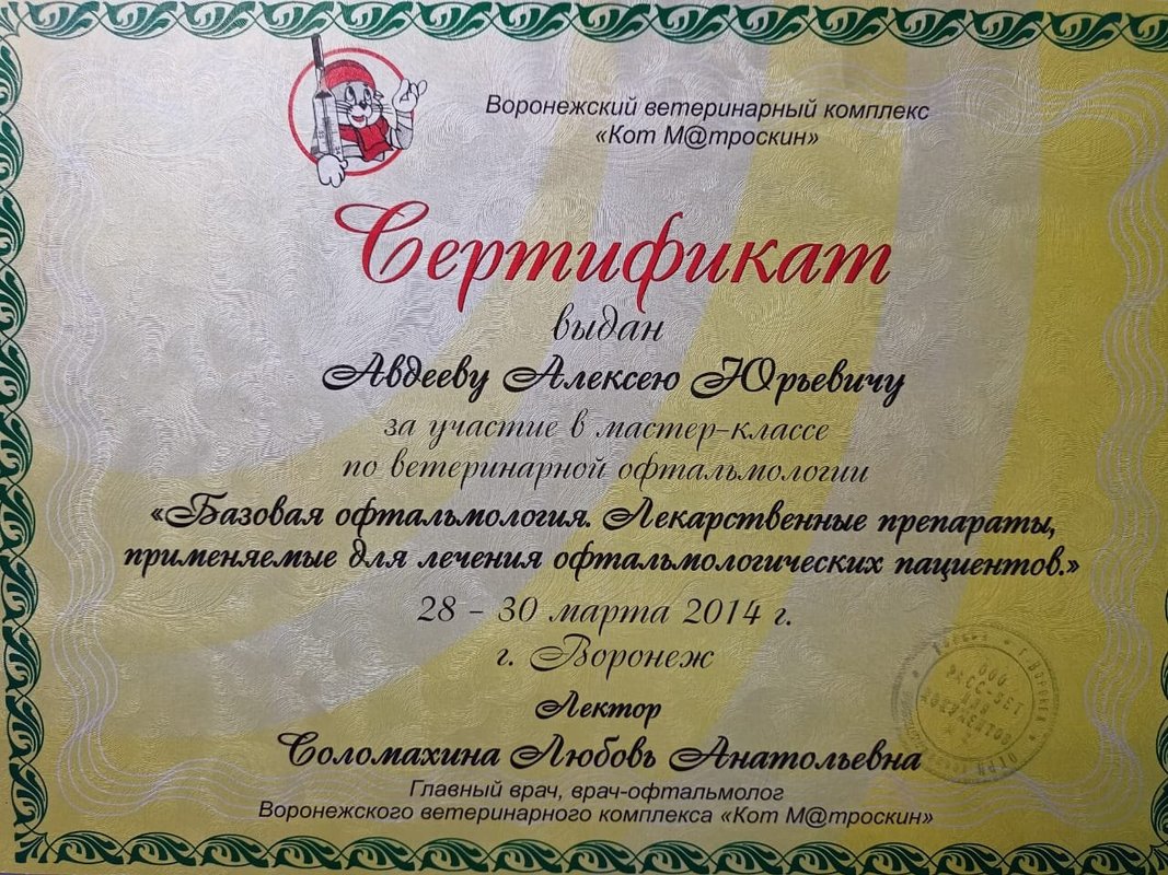 Документ или сертификат
