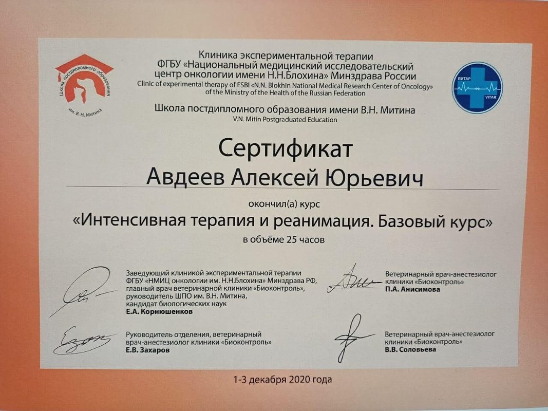 Документ или сертификат