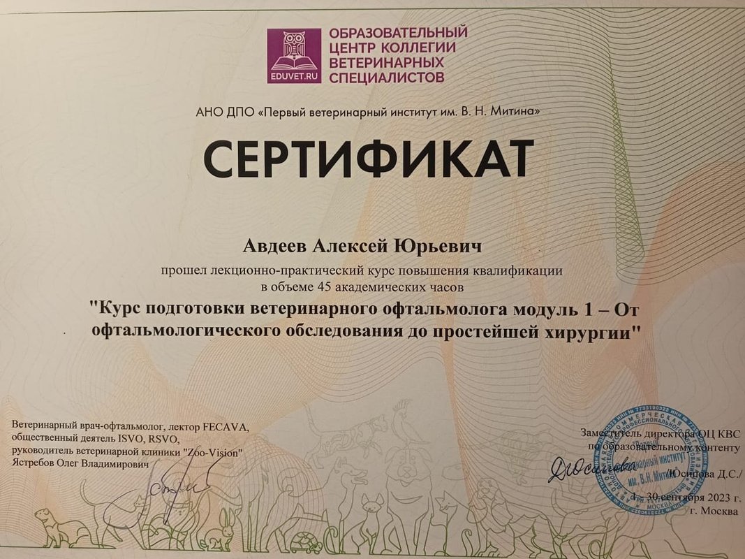 Документ или сертификат