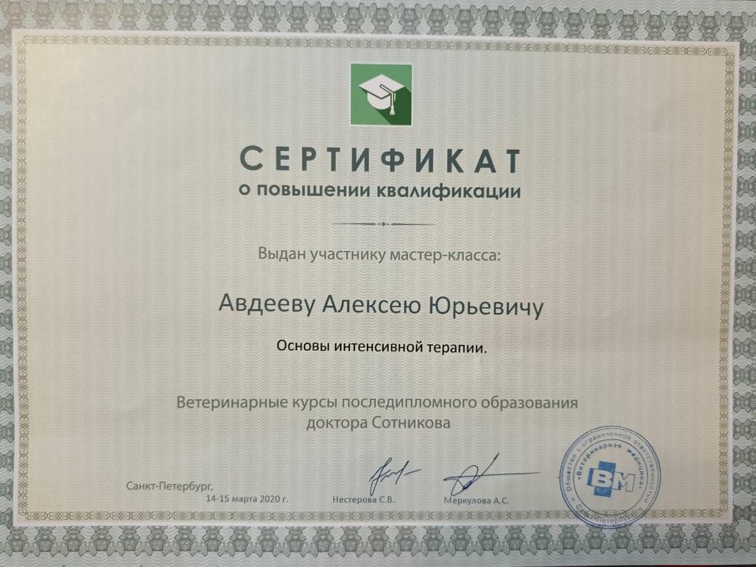 Документ или сертификат