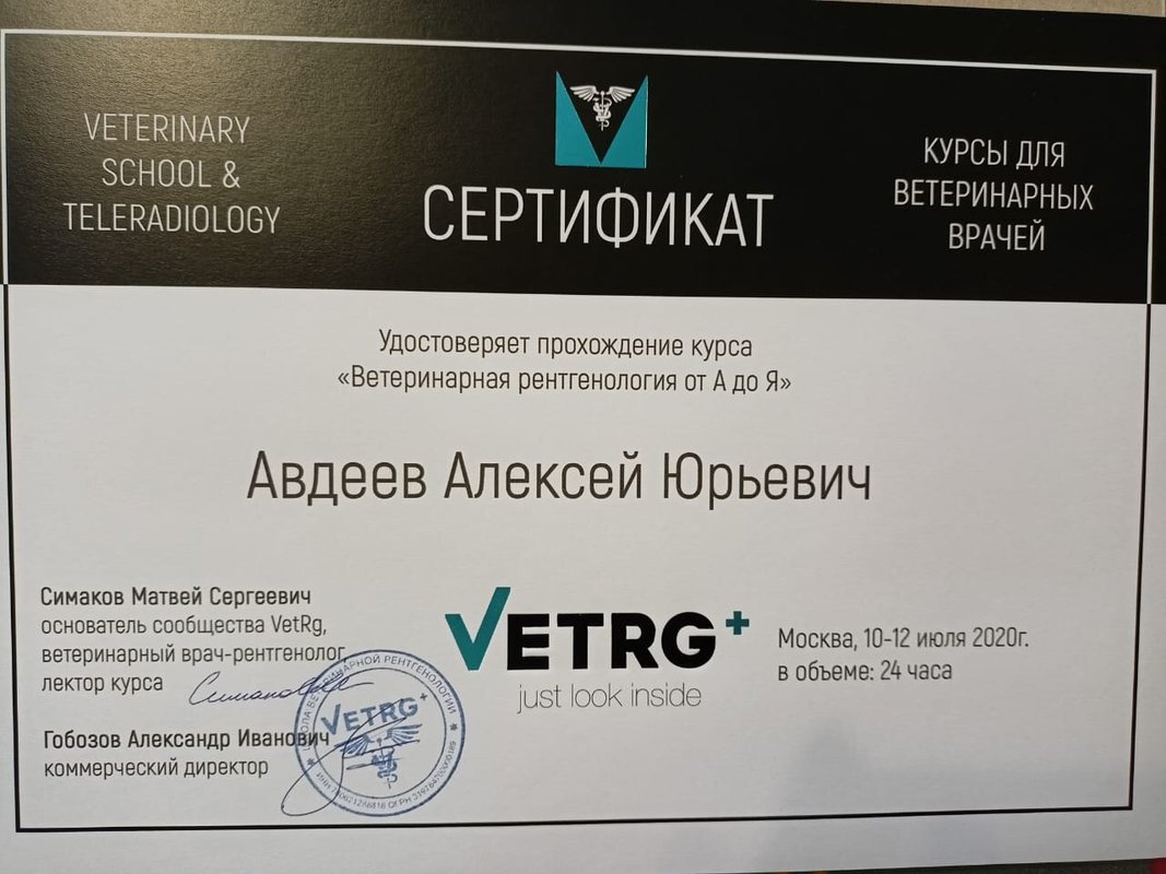 Документ или сертификат