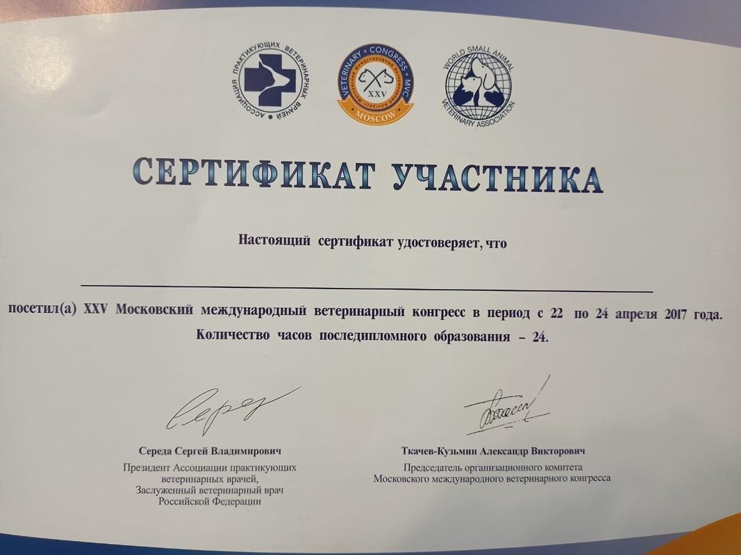Документ или сертификат