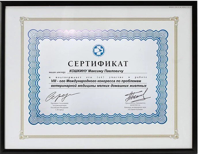 Документ или сертификат